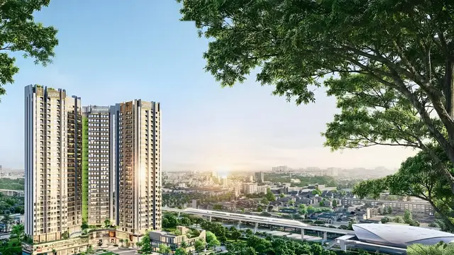 Dự án giữa tán cây