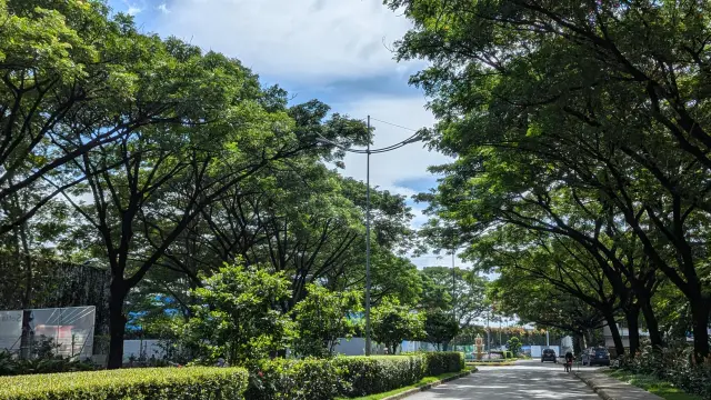 Đường nội khu EcoXuân rợp bóng cây, ảnh thực tế